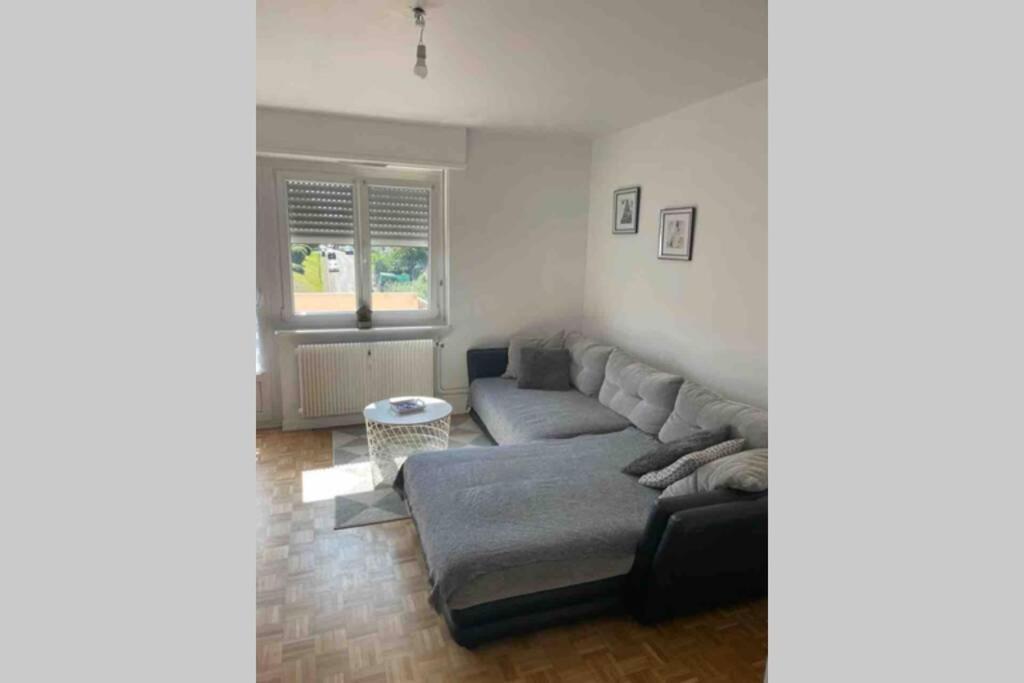 Très bel appartement F4 proche gare Riedisheim Esterno foto